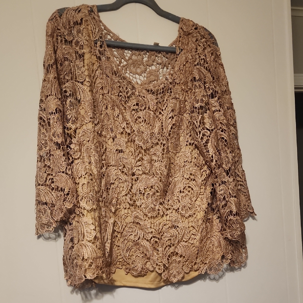Adiva Elegant Lace Top - Brown